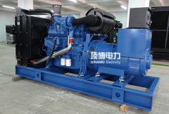 頂博電力玉柴柴油發電機組有哪些卓越的性能特點？